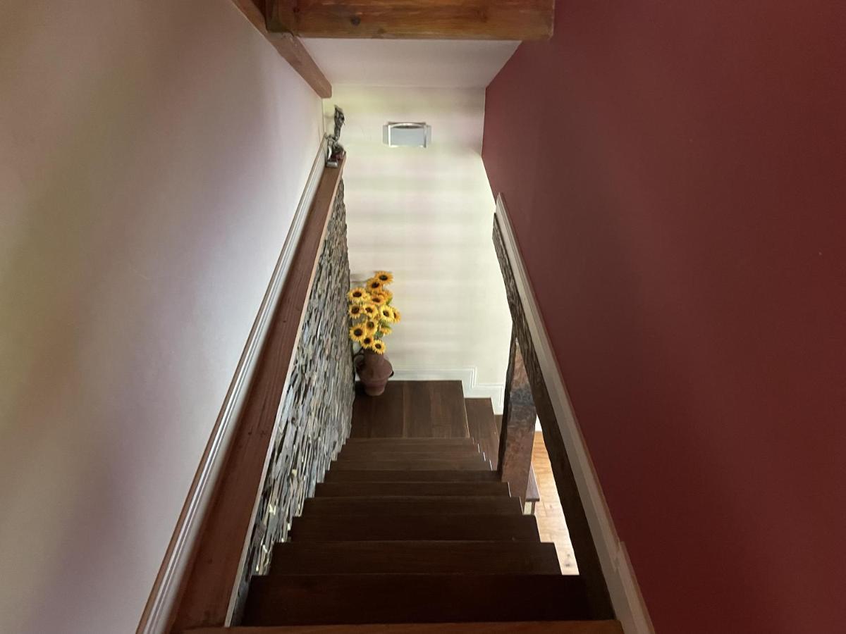 O Celeiros Villa Freixo  Eksteriør billede